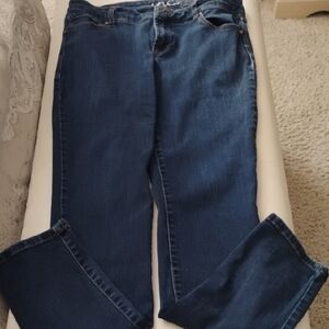 Blue Straight INC Jeans in Classic Denim